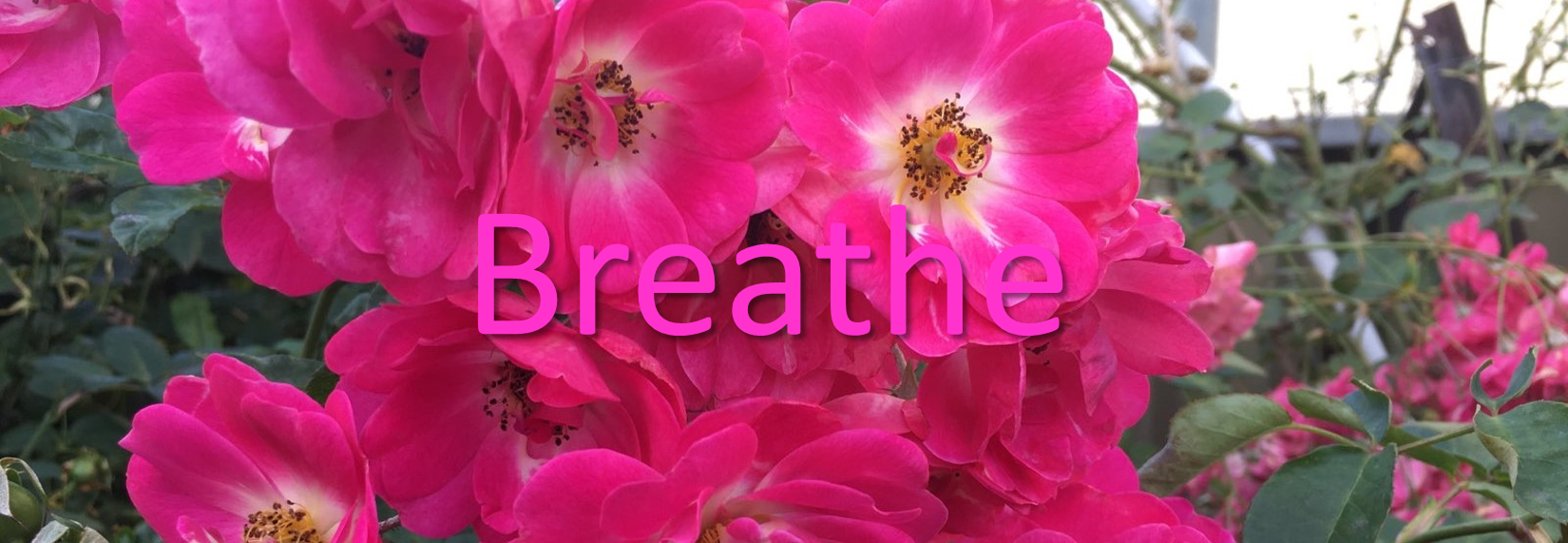 Breathe3